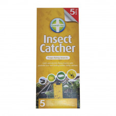 Insect Catcher - packet of 5
